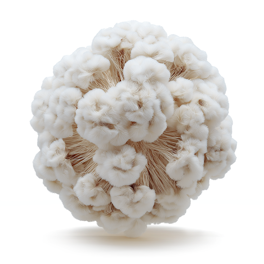 Ambrettolide HC Suprême - ACS International