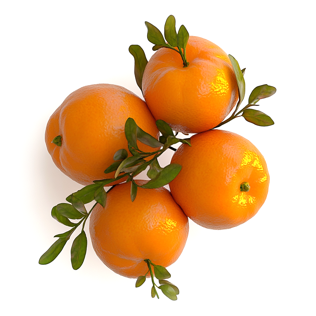 Citrus discovery set