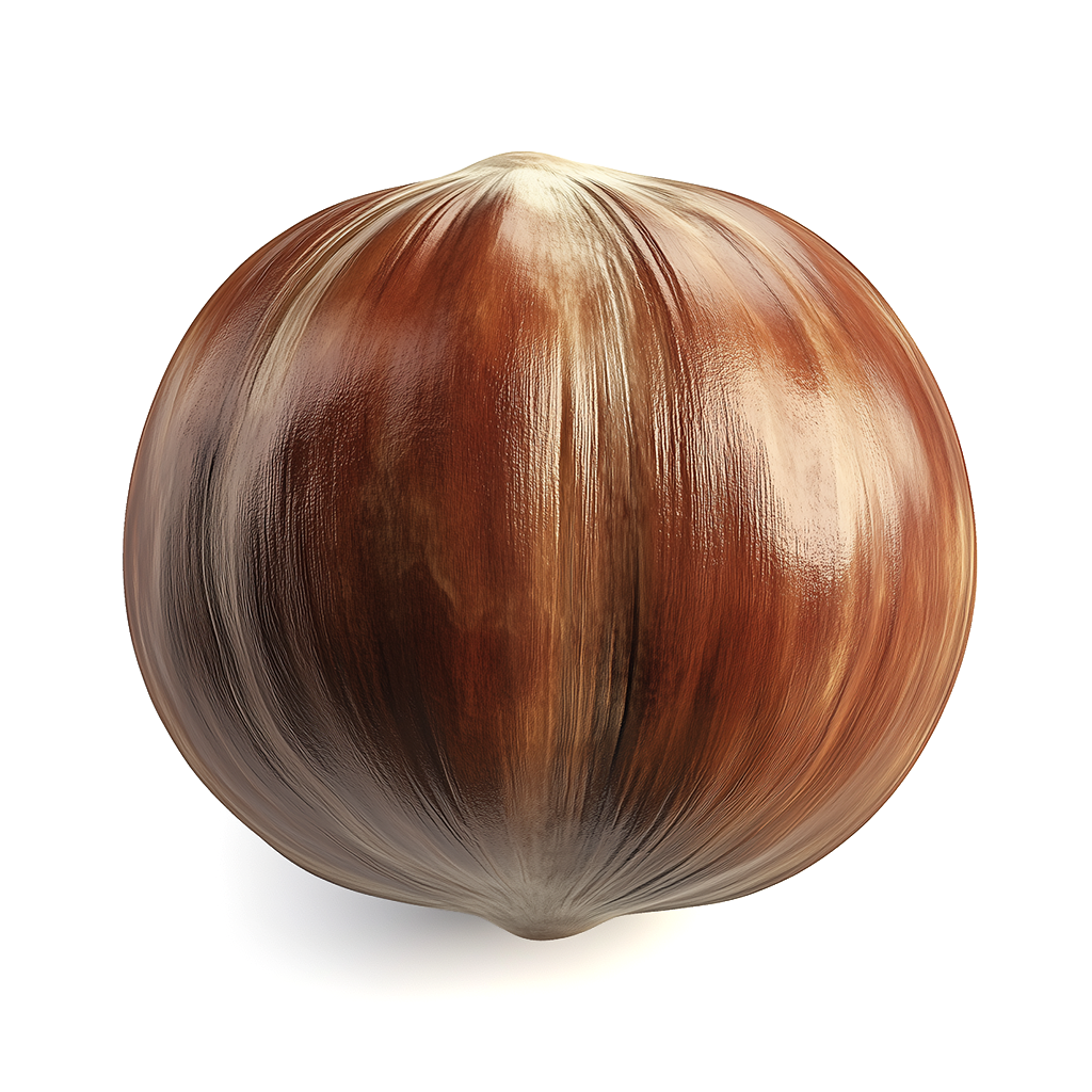 Hazelnut Nat Infuse - Capua 1880