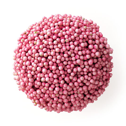 Pink Pepper Oil - Albert Vieille