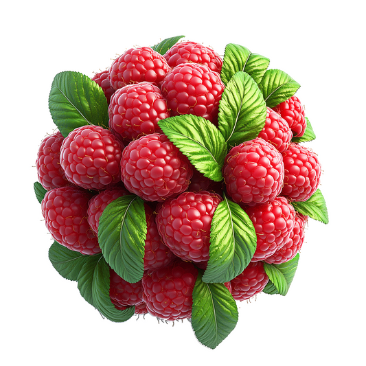 Raspberry Essence (Natural) - Robertet