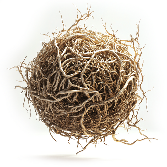 Vetiver Oil Signature - Albert Vieille