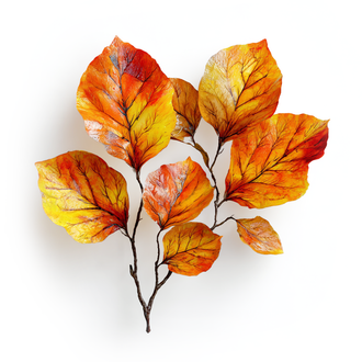 Perfumer's guide to the smell of autumn leaves