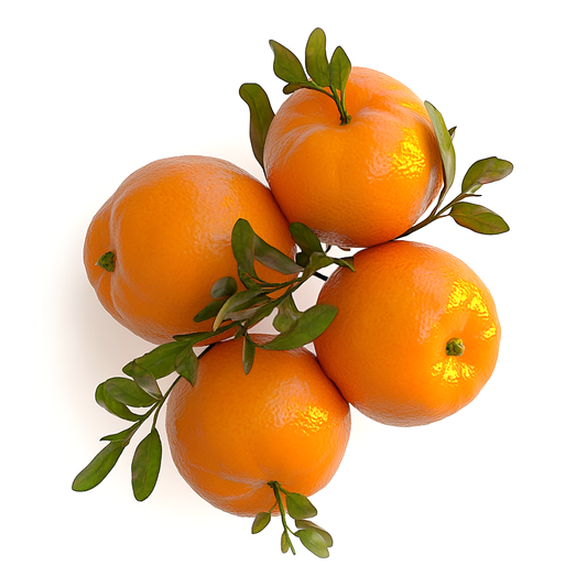 Citrus discovery set