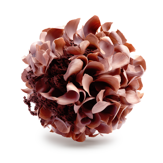 Fleur de cuir - Payan Bertrand