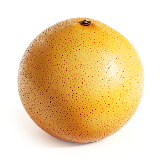 Grapefruit Oil, White - Albert Vieille