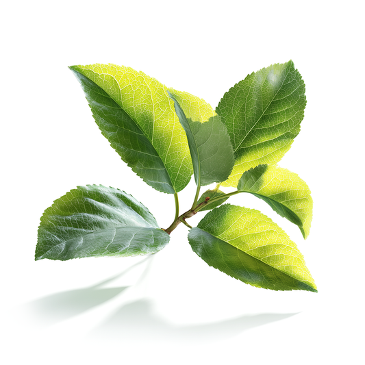 Triplal (Cyclal C) - Givaudan